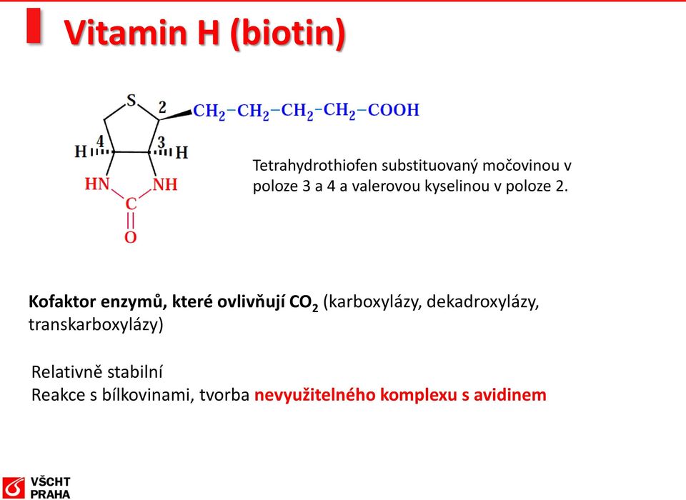 Kofaktor enzymů, které ovlivňují CO 2 (karboxylázy, dekadroxylázy,