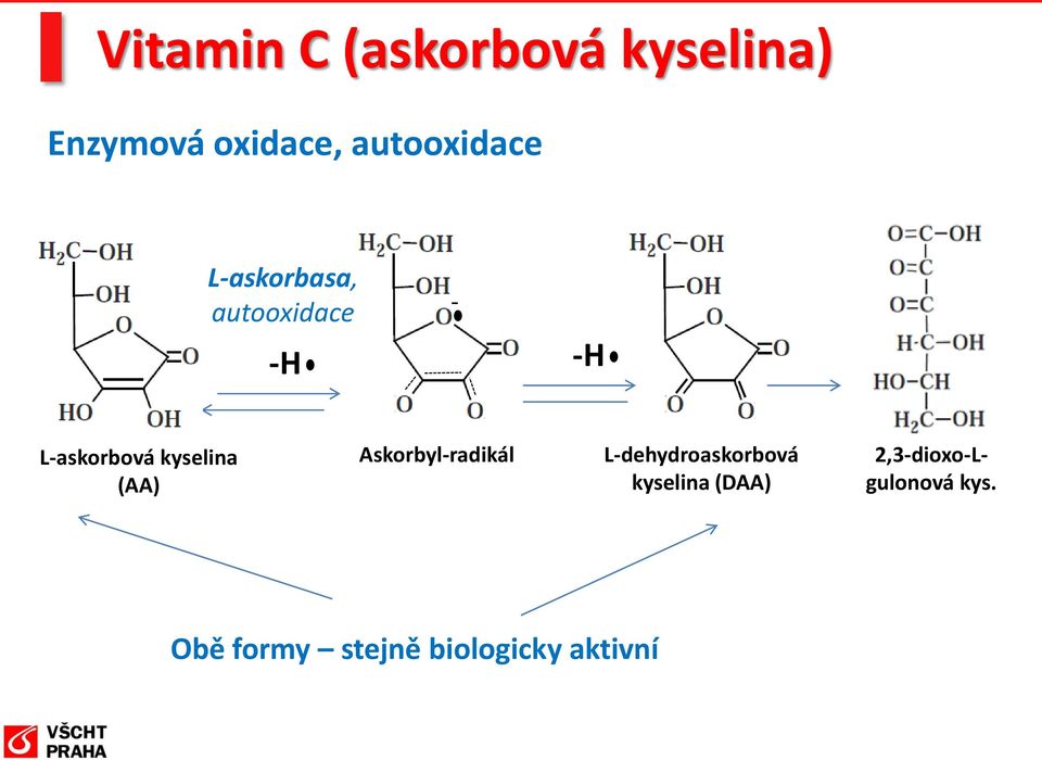 kyselina (AA) Askorbyl-radikál L-dehydroaskorbová