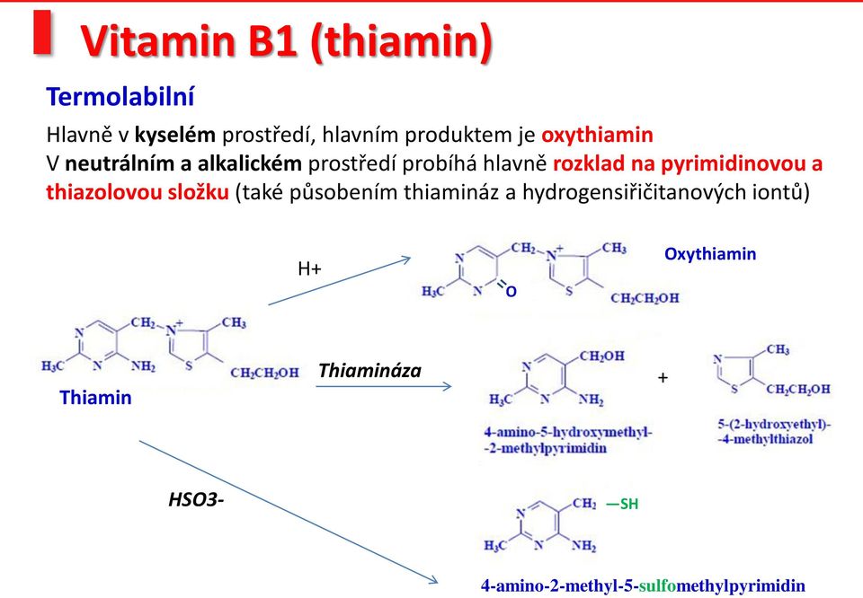pyrimidinovou a thiazolovou složku (také působením thiamináz a