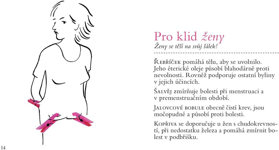 Šalvěj zmírňuje bolesti při menstruaci a v premenstruačním období.