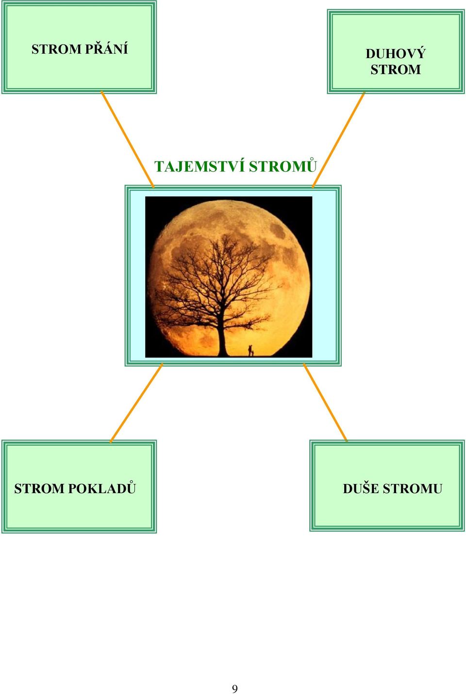 TAJEMSTVÍ STROMŮ