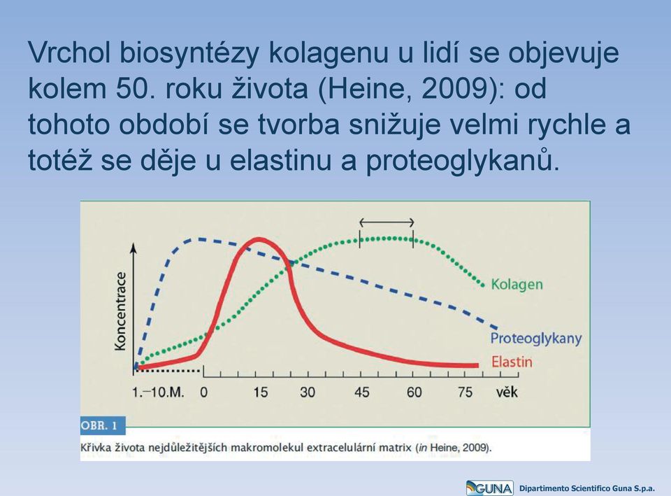 roku života (Heine, 2009): od tohoto období