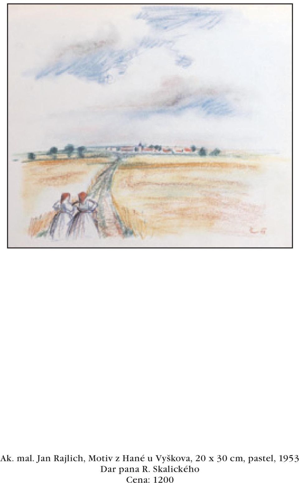 u Vyškova, 20 x 30 cm,