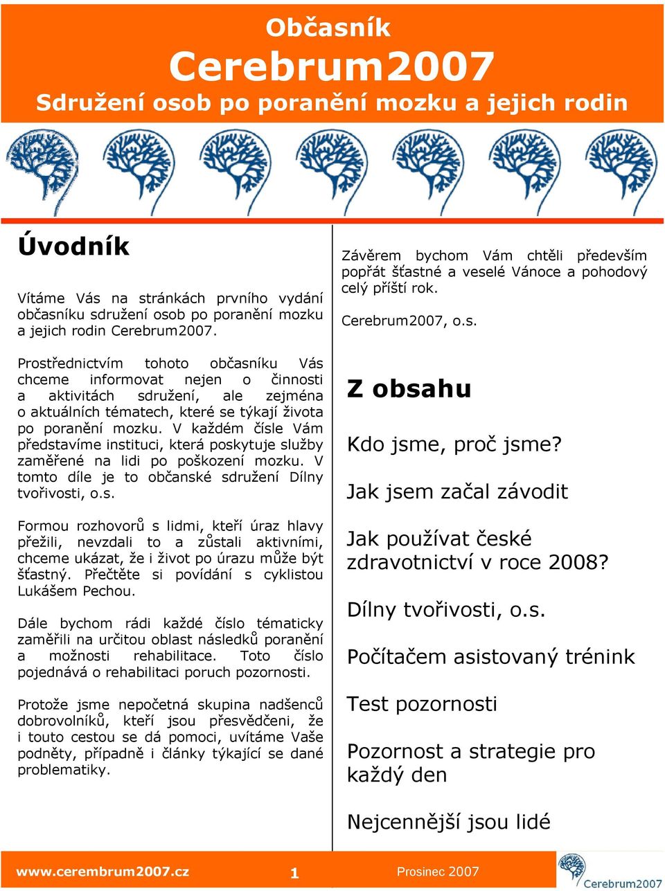 V každém čísle Vám představíme instituci, která poskytuje služby zaměřené na lidi po poškození mozku. V tomto díle je to občanské sdružení Dílny tvořivosti, o.s. Formou rozhovorů s lidmi, kteří úraz hlavy přežili, nevzdali to a zůstali aktivními, chceme ukázat, že i život po úrazu může být šťastný.