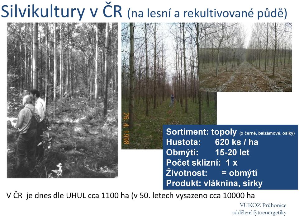 sklizní: 1 x Životnost: = obmýtí Produkt: vláknina, sirky V ČR je dnes