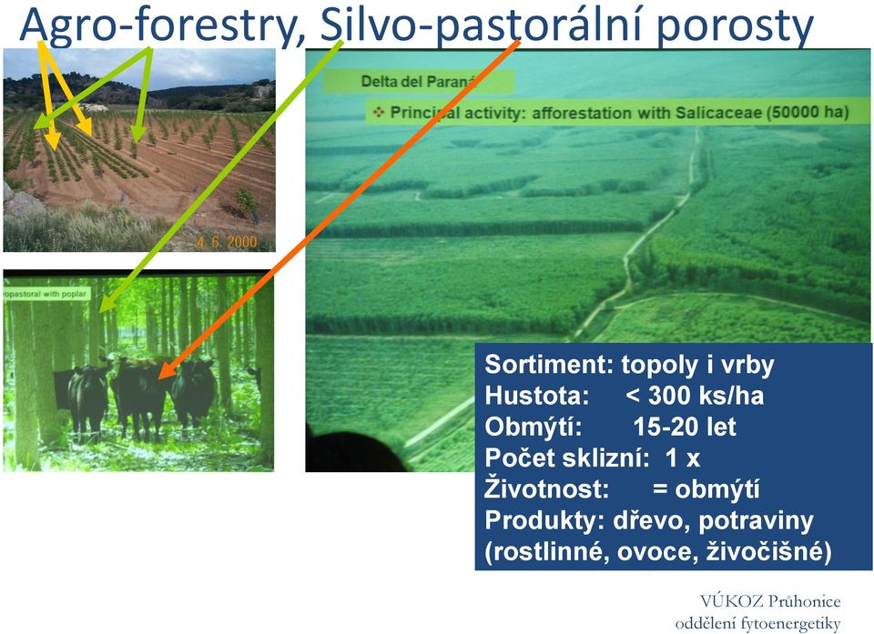 Počet sklizní: 1 x Životnost: = obmýtí Produkty: dřevo,