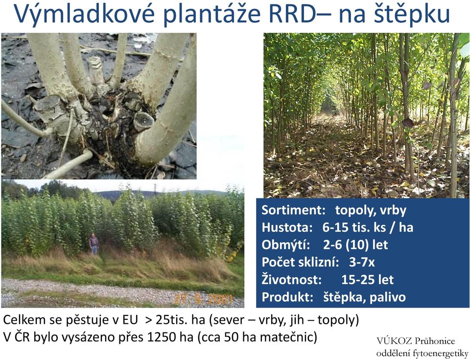 Produkt: štěpka, palivo Celkem se pěstuje v EU > 25tis.