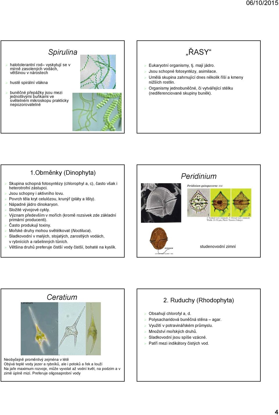 Organismy jednobuněčné, či vytvářející stélku (nediferenciované skupiny buněk). 1.Obrněnky (Dinophyta) Skupina schopná fotosyntézy (chlorophyl a, c), často však i heterotrofní zástupci.