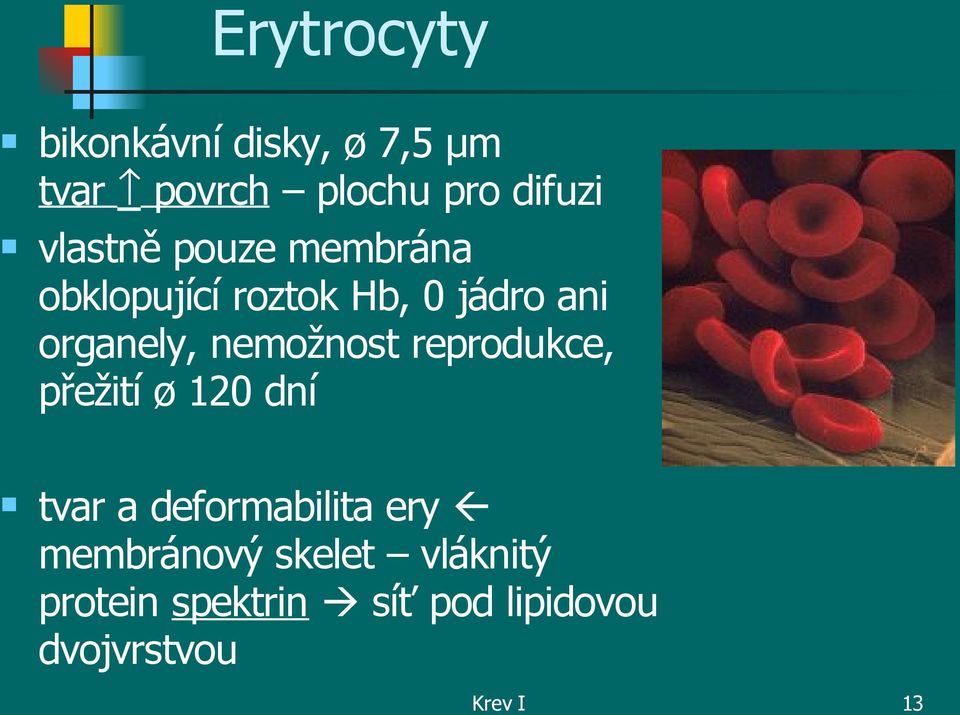 nemožnost reprodukce, přežití ø 120 dní tvar a deformabilita ery