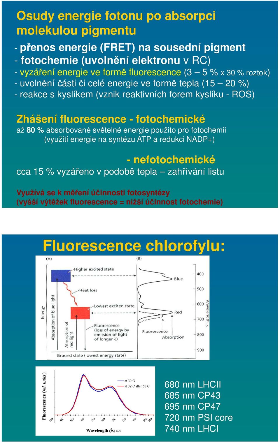 % absorbované světelné energie použito pro fotochemii (využití energie na syntézu ATP a redukci NADP+) - nefotochemické cca 15 % vyzářeno v podobě tepla zahřívání listu Využívá