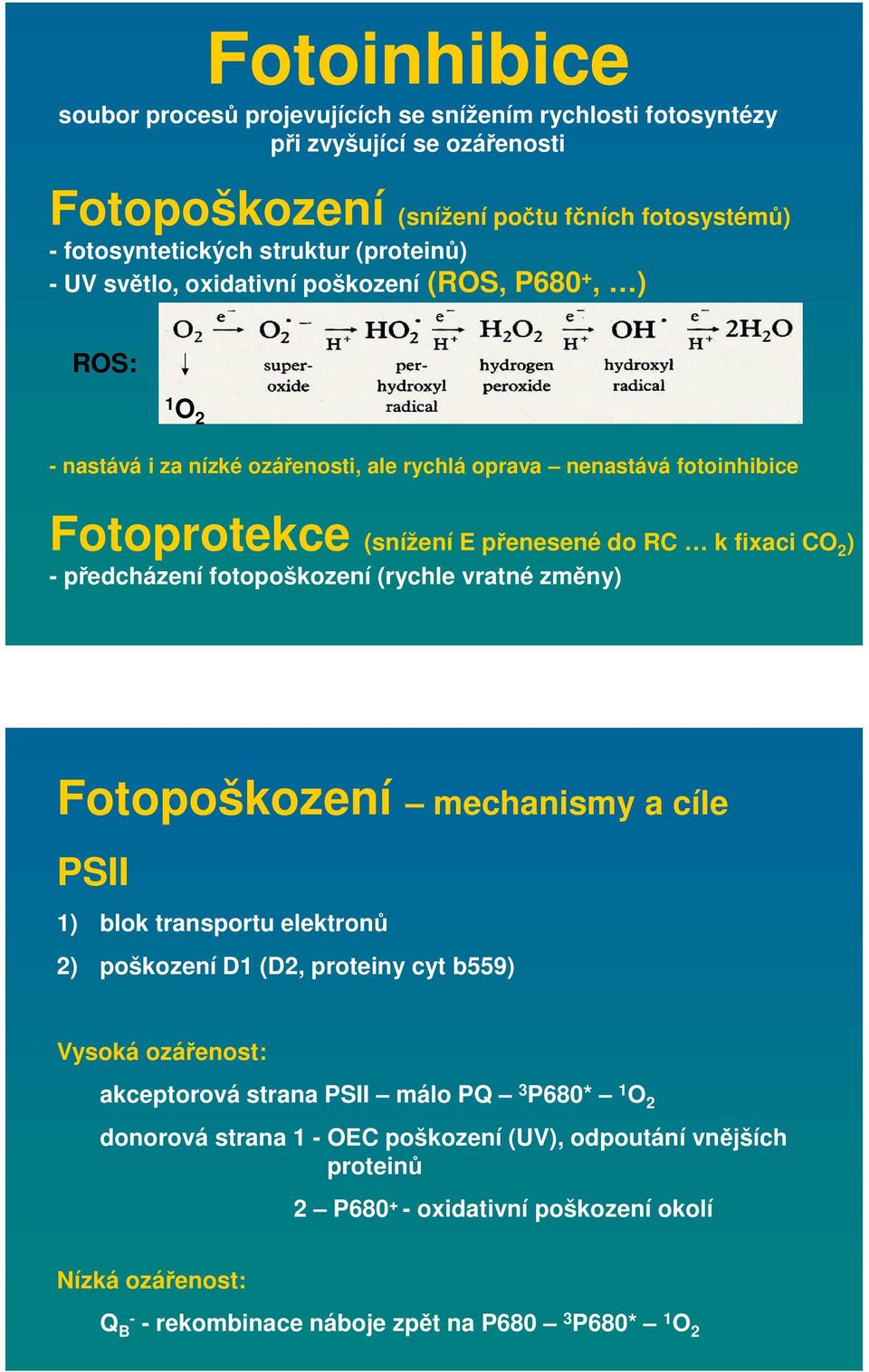 předcházení fotopoškození (rychle vratné změny) Fotopoškození mechanismy a cíle PSII 1) blok transportu elektronů 2) poškození D1 (D2, proteiny cyt b559) Vysoká ozářenost: akceptorová strana