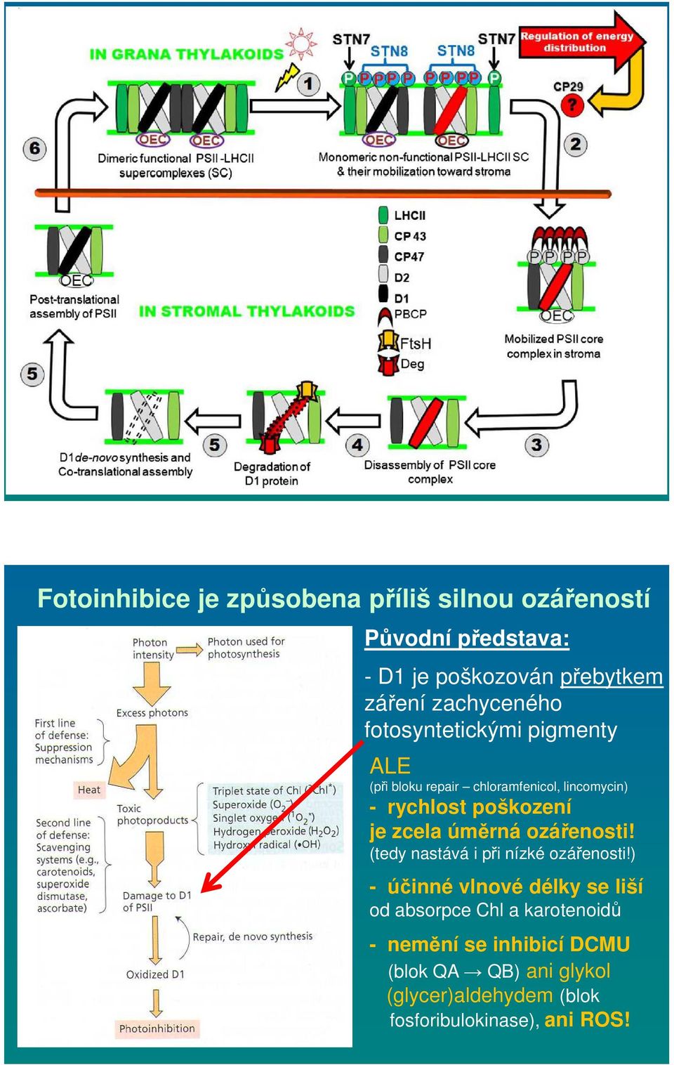 je zcela úměrná ozářenosti! (tedy nastává i při nízké ozářenosti!