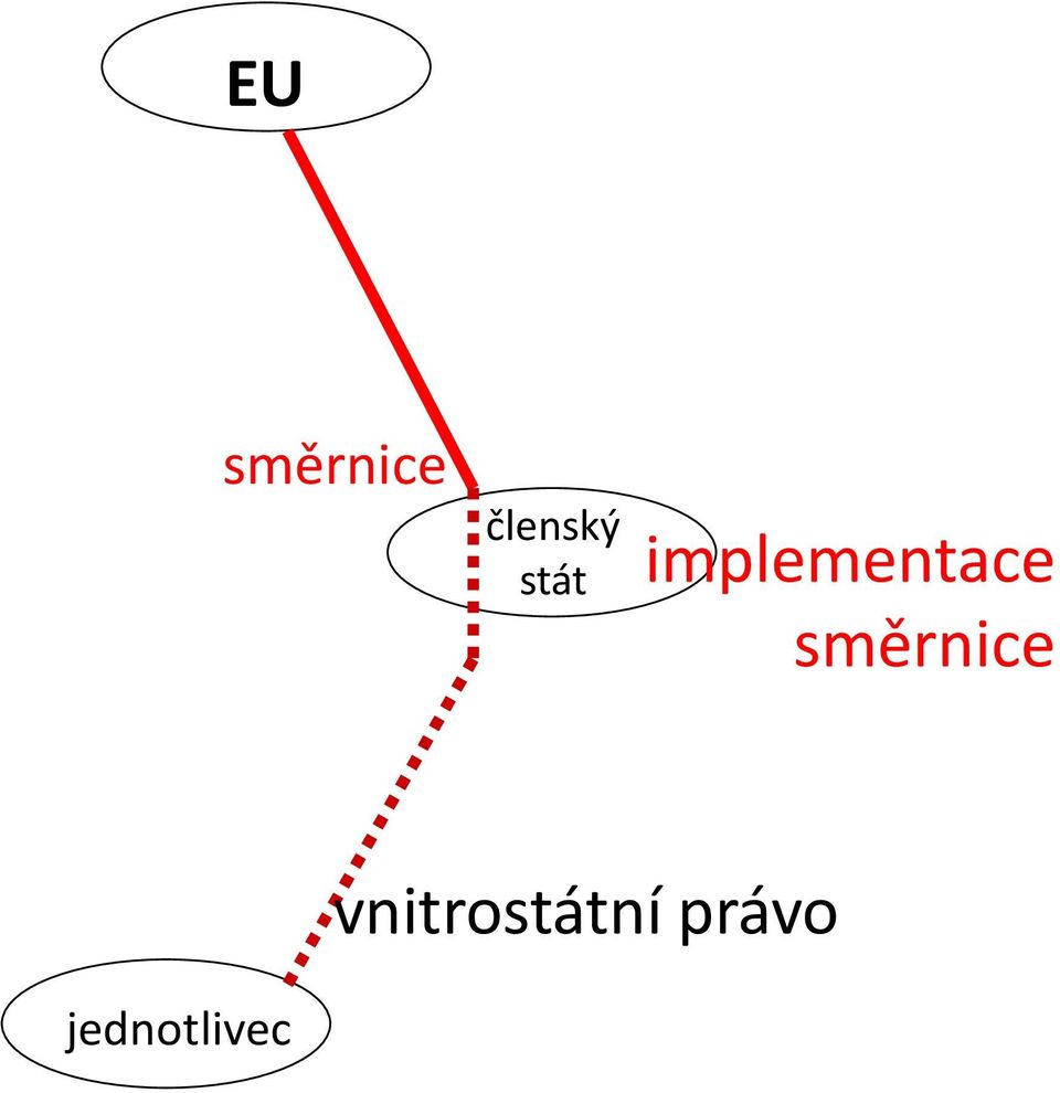 směrnice