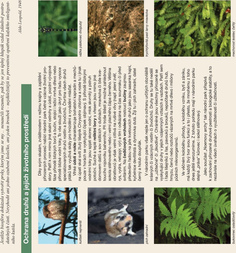 Ochrana druhů a jejich životního prostředí Aldo Leopold, 1948 kulíšek nejmenší Díky svým skalám, zvláštnostem v režimu krajiny a zajištění přirozených procesů nabízí národní park četné vzácné životní