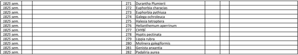 275 Halesia tetraptera 1825 sem. 276 Helianthemum aperrinum 1825 sem. 277 CHYBÍ 1825 sem.