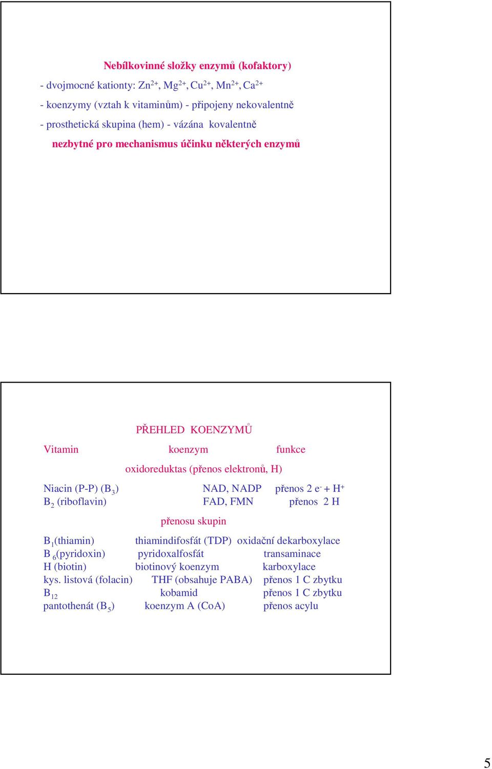 NADP přenos 2 e - + H + B 2 (riboflavin) FAD, FMN přenos 2 H přenosu skupin B 1 (thiamin) thiamindifosfát (TDP) oxidační dekarboxylace B 6 (pyridoxin) pyridoxalfosfát