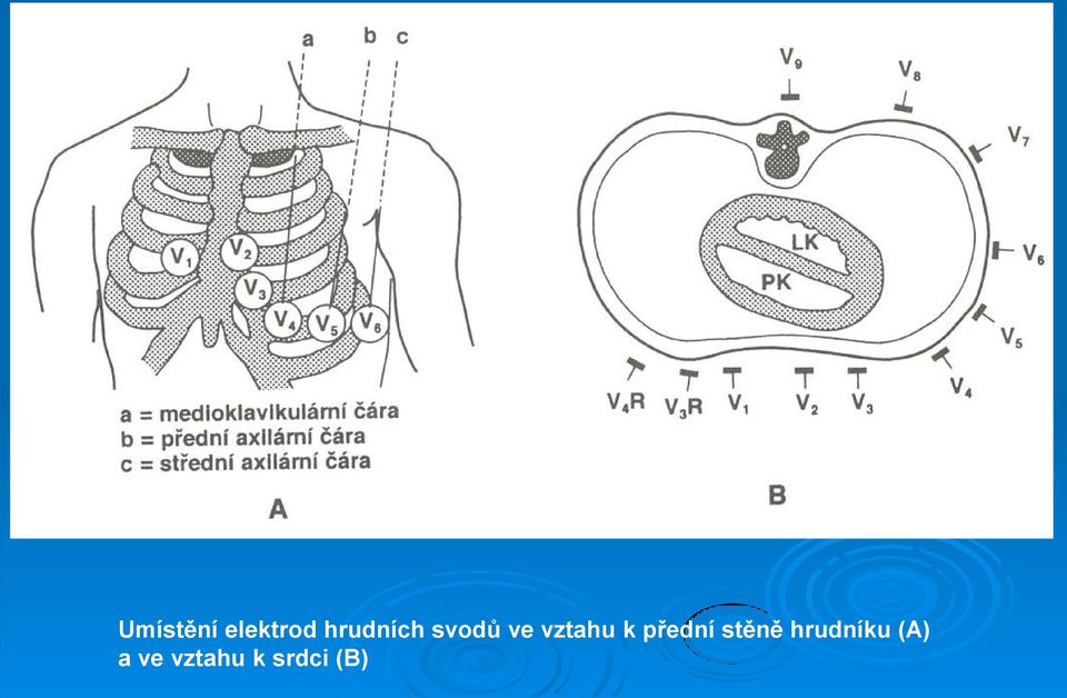 vztahu k přední stěně