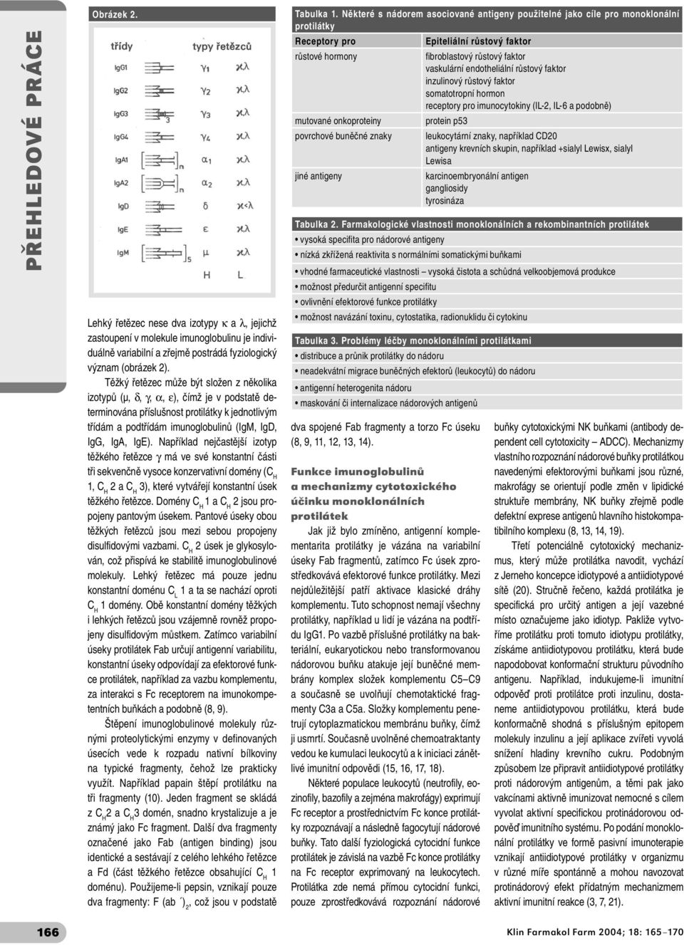 Například nejčastější izotyp těžkého řetězce γ má ve své konstantní části tři sekvenčně vysoce konzervativní domény (C H 1, C H 2 a C H 3), které vytvářejí konstantní úsek těžkého řetězce.