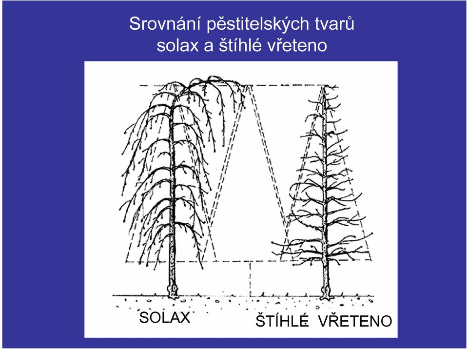 tvarů solax a