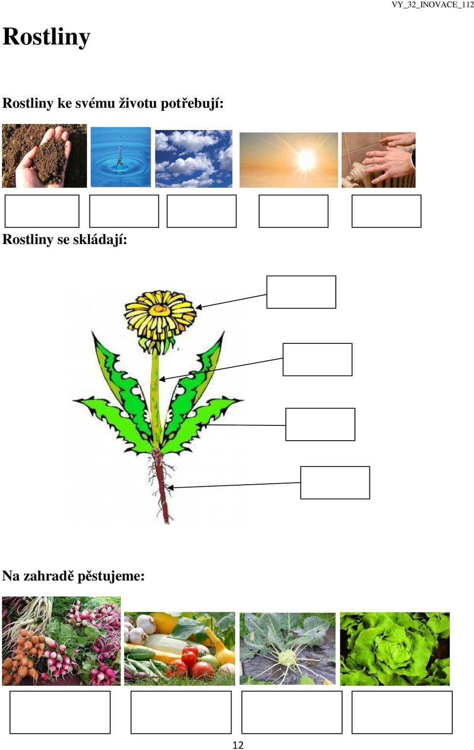 potřebují: Rostliny se