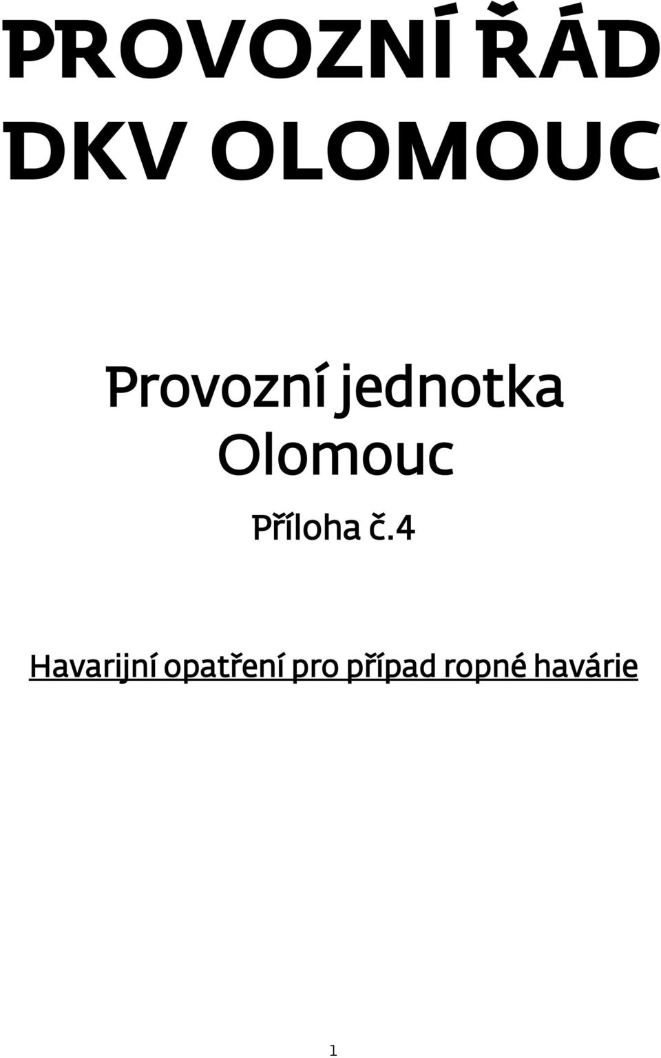 Příloha č.