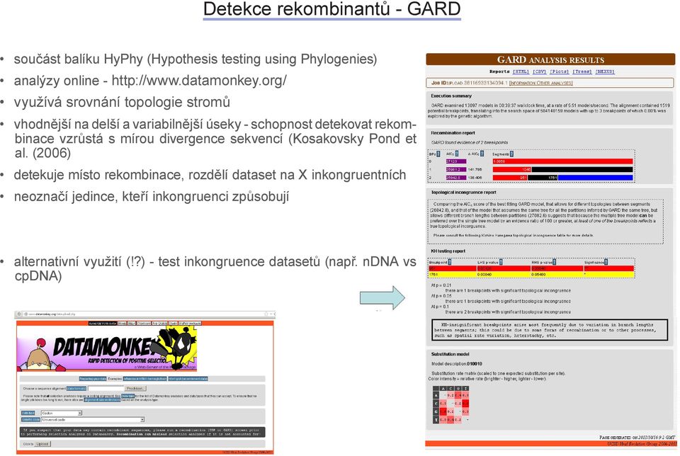 org/ využívá srovnání topologie stromů vhodnější n delší vribilnější úseky - schopnost detekovt rekombince vzrůstá s