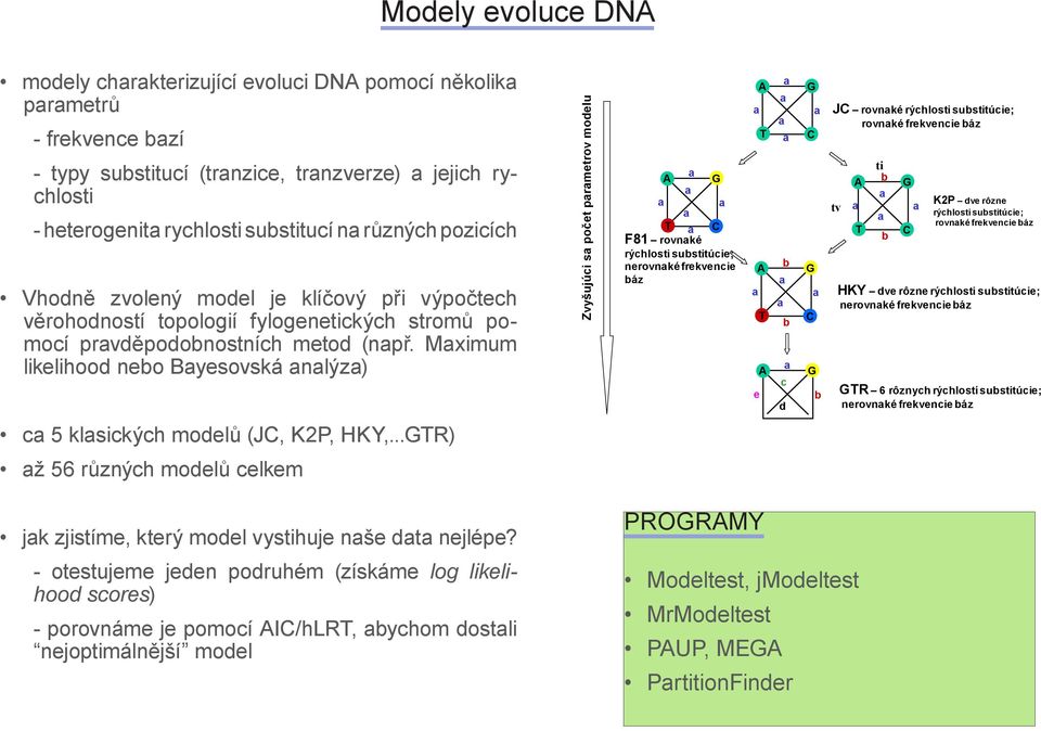 Mximum likelihood nebo Byesovská nlýz) Zvyšujúci s počet prmetrov modelu A G T C F81 rovnké rýchlosti substitúcie; nerovnké frekvencie báz A T A T A e b b c d G C G C G b JC rovnké rýchlosti