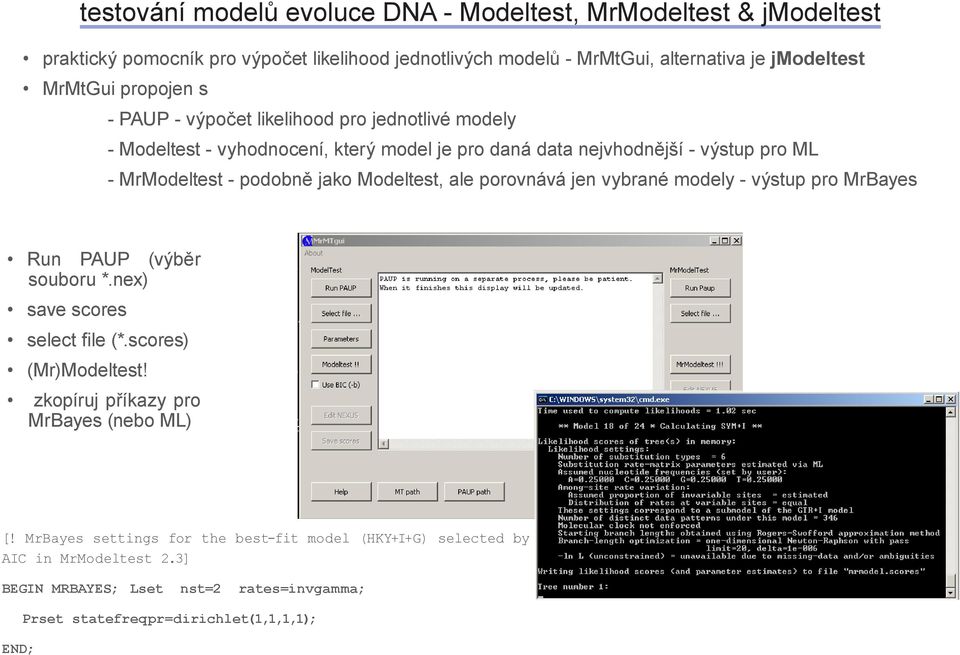 Modeltest, le porovnává jen vybrné modely - výstup pro MrByes Run PAUP (výběr souboru *.nex) sve scores select file (*.scores) (Mr)Modeltest!