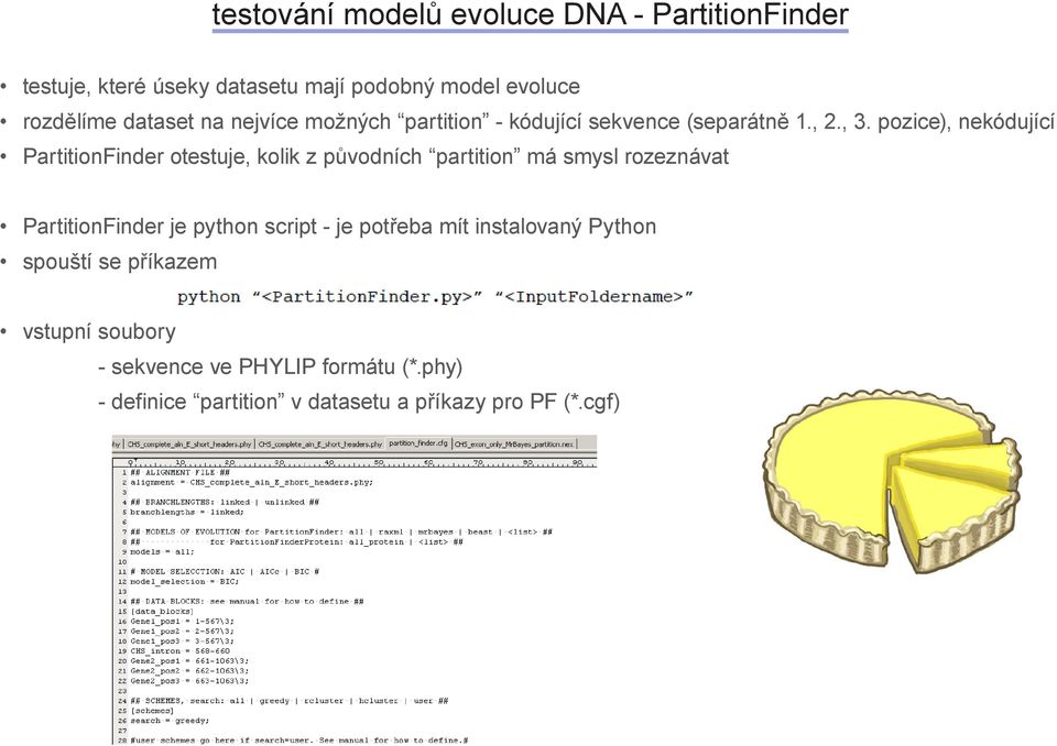 pozice), nekódující PrtitionFinder otestuje, kolik z původních prtition má smysl rozeznávt PrtitionFinder je python