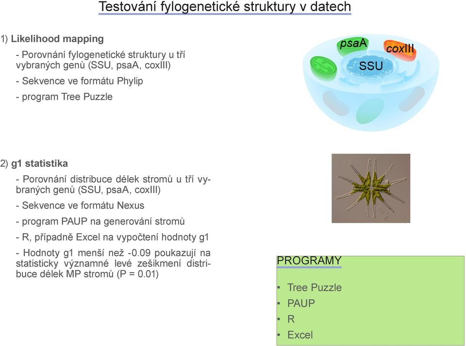 (SSU, psa, coxiii) - Sekvence ve formátu Nexus - progrm PAUP n generování stromů - R, přípdně Excel n vypočtení hodnoty g1 -