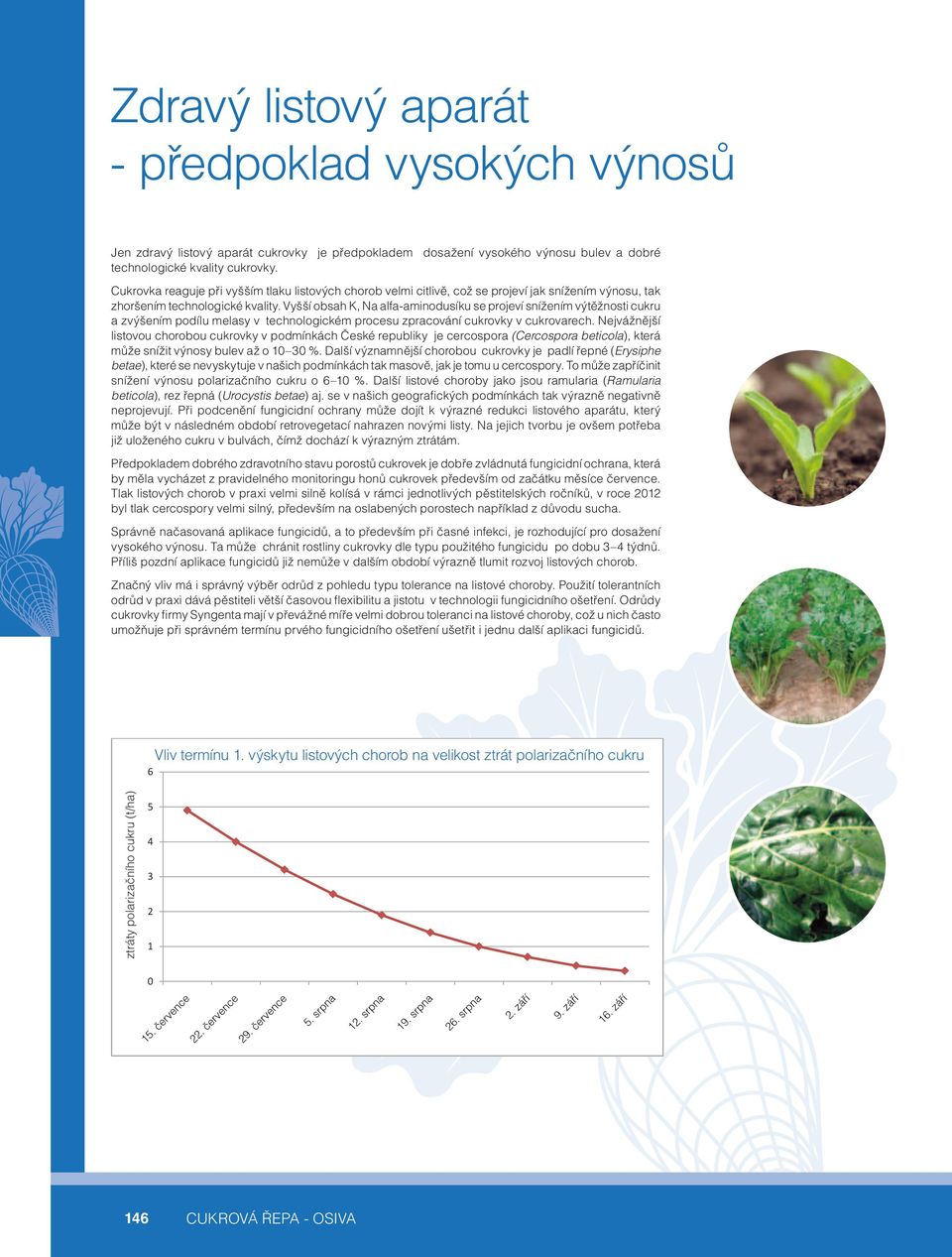 Vyšší obsah K, Na alfa-aminodusíku se projeví snížením výtěžnosti cukru a zvýšením podílu melasy v technologickém procesu zpracování cukrovky v cukrovarech.