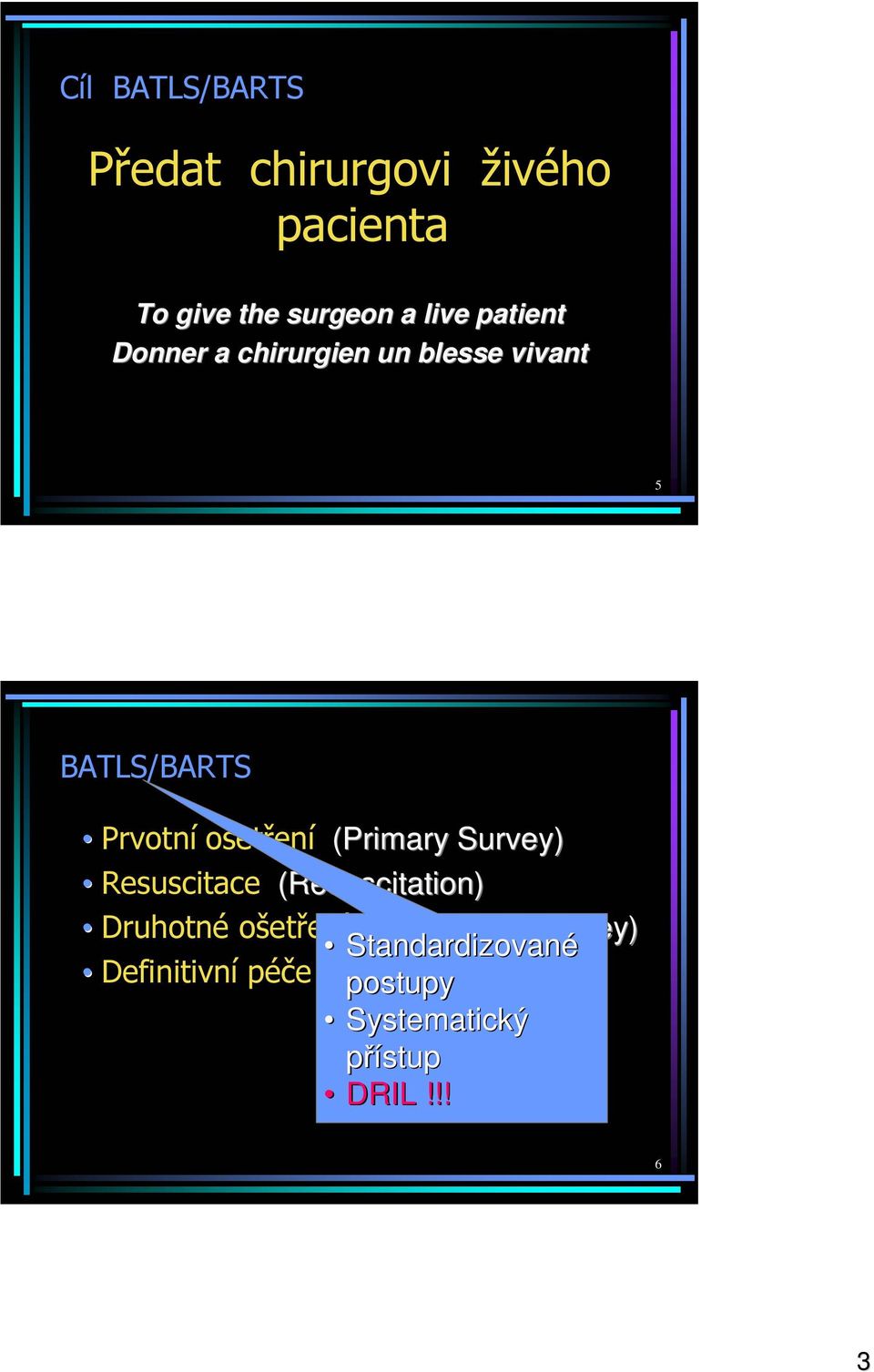 (Primary Survey) Resuscitace (Resuscitation) Druhotné ošetření (Secondary Survey)