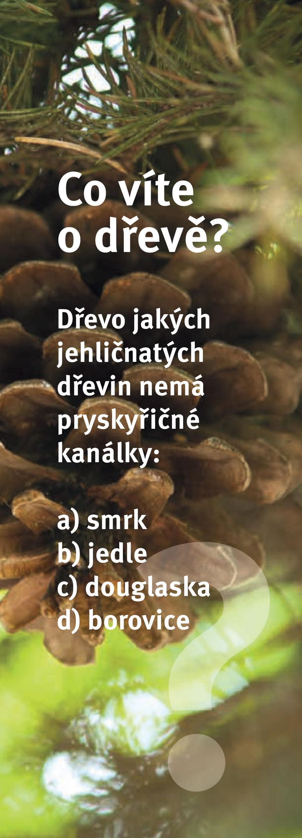 dřevin nemá pryskyřičné