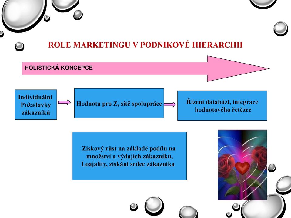 Řízení databází, integrace hodnotového řetězce Ziskový růst na