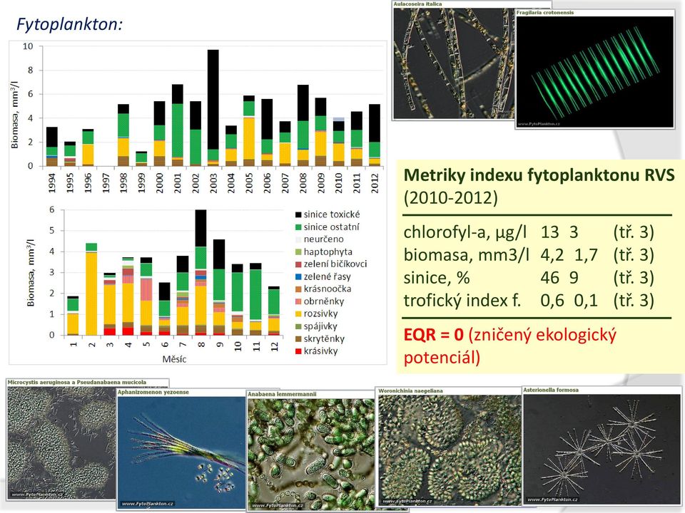 3) biomasa, mm3/l 4,2 1,7 (tř. 3) sinice, % 46 9 (tř.