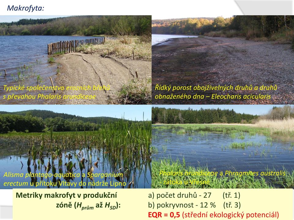 nádrže Lipno Phalaris arundiceae a Phragmites australis - zátoka u Vřesné Metriky makrofyt v produkční a) počet