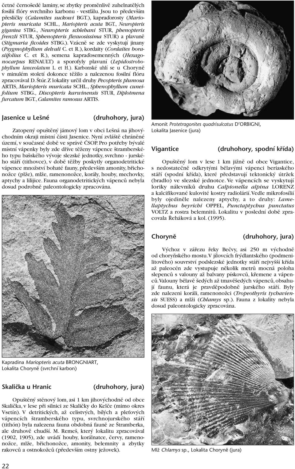 et R.), kordaity (Cordaites borasiifolius C. et R.), semena kapraìosemenn ch (Hexagonocarpus RENAULT) a sporofyly plavuní (Lepidostrobophyllum lanceolatum L. et H.). Karbonské uhlí se u Chorynû v minulém století dokonce tûïilo a nalezenou fosilní flóru zpracovával D.
