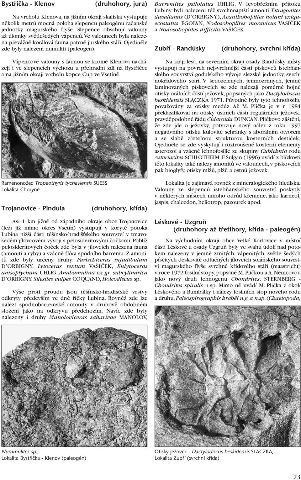 Vápencové valouny s faunou se kromû Klenova nacházejí i ve slepencích v chozu u pfiehradní zdi na Bystfiiãce a na jiïním okraji vrcholu kopce âup ve Vsetínû.