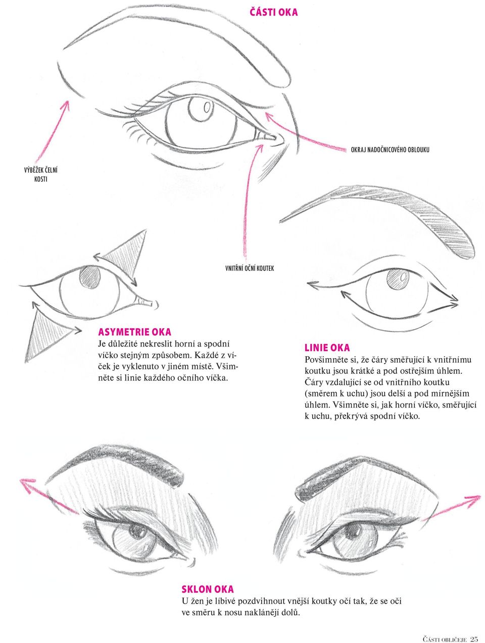 LINIE OKA Povšimněte si, že čáry směřující k vnitřnímu koutku jsou krátké a pod ostřejším úhlem.