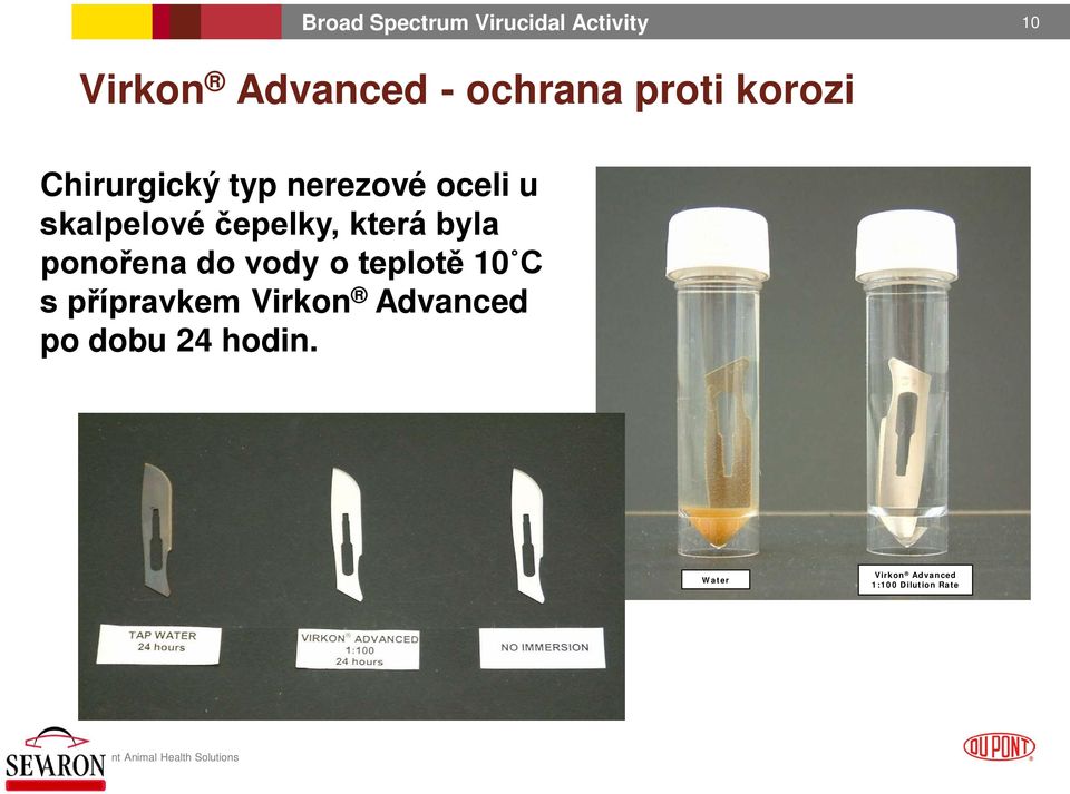 ponořena do vody o teplotě 10 C s přípravkem Virkon