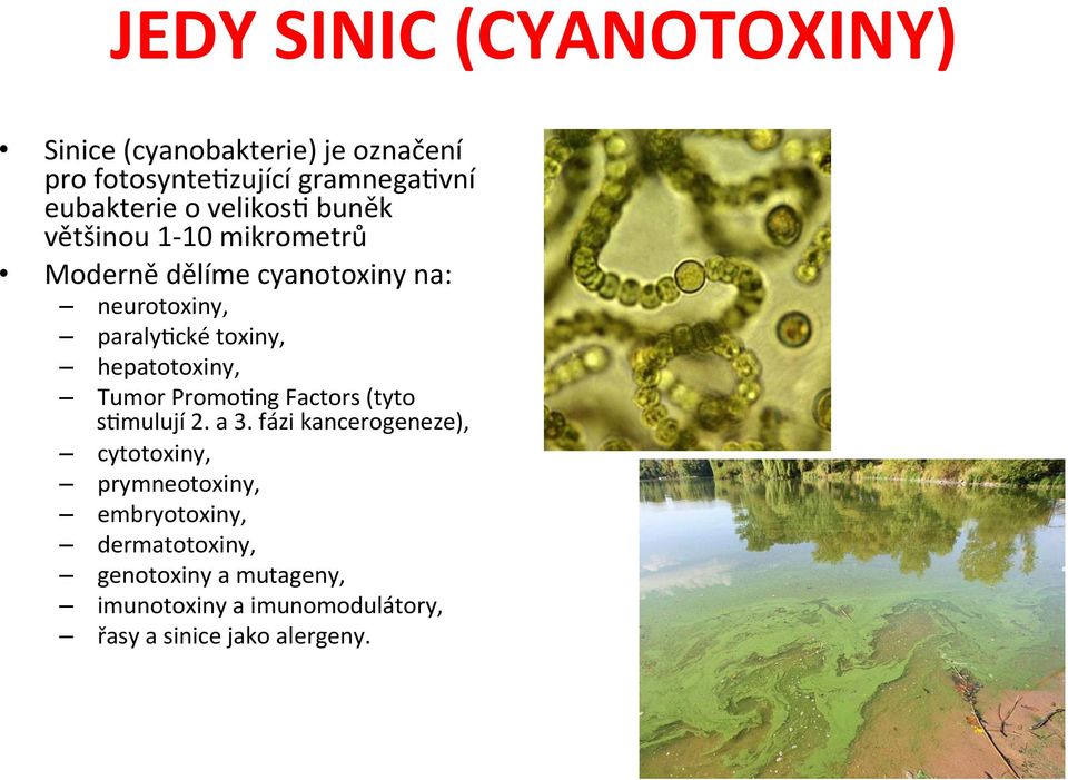 hepatotoxiny, Tumor PromoEng Factors (tyto semulují 2. a 3.