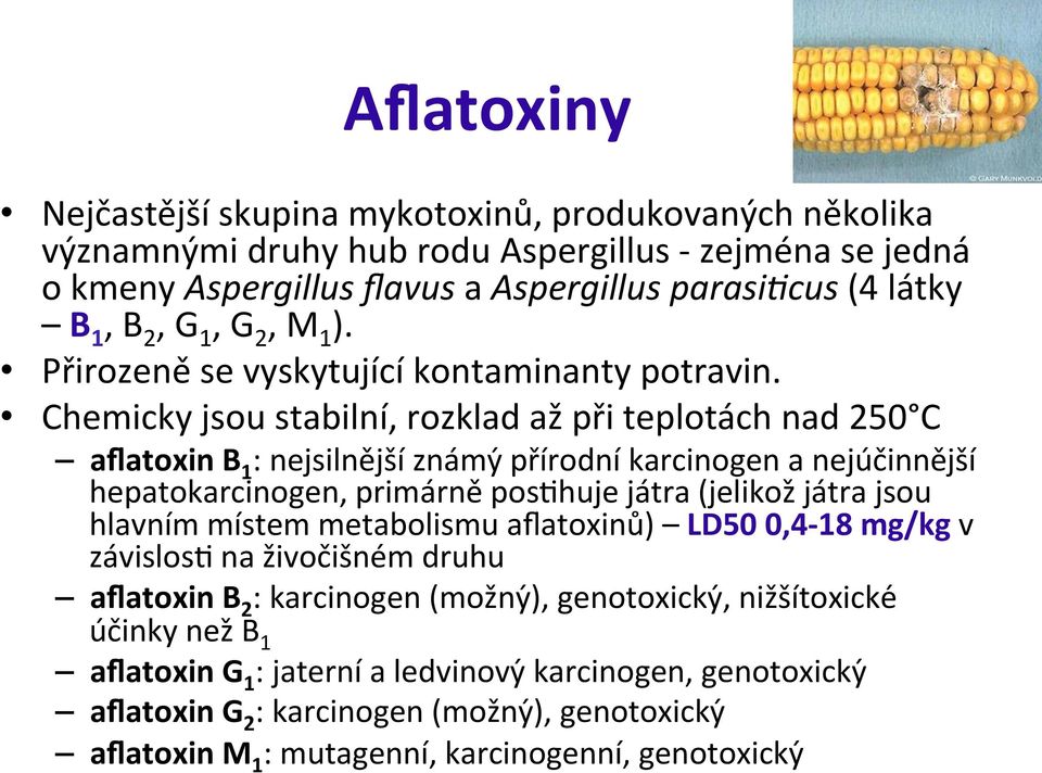 Chemicky jsou stabilní, rozklad až při teplotách nad 250 C aflatoxin B 1 : nejsilnější známy přírodní karcinogen a nejúčinnější hepatokarcinogen, primárne posehuje játra (jelikoz játra jsou