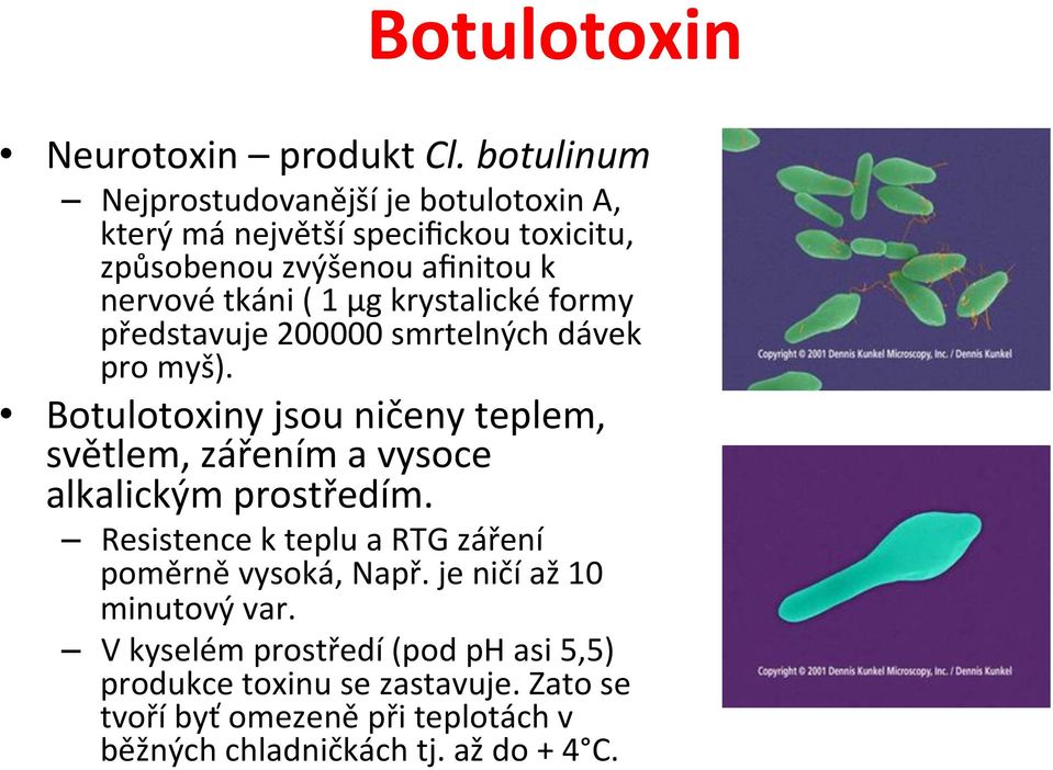 µg krystalické formy představuje 200000 smrtelných dávek pro myš).