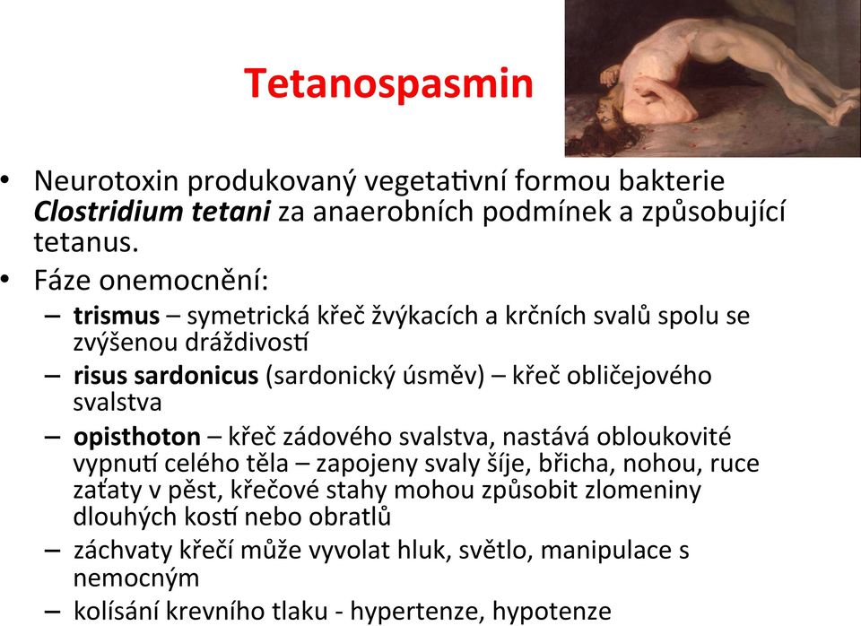 obličejového svalstva opisthoton křeč zádového svalstva, nastává obloukovité vypnui celého těla zapojeny svaly šíje, břicha, nohou, ruce zaťaty v