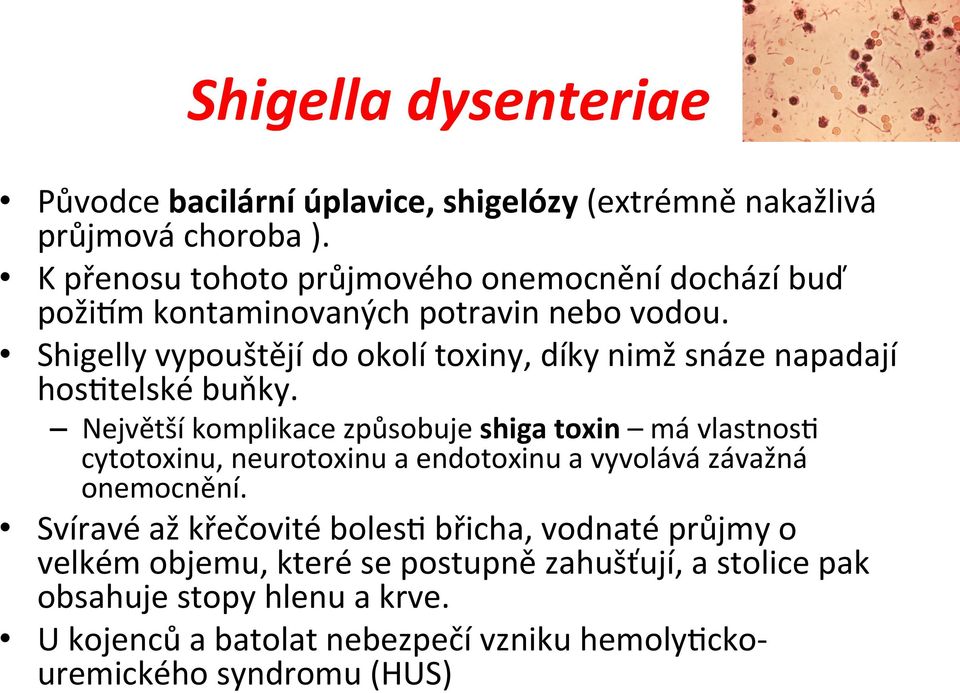 Shigelly vypouštějí do okolí toxiny, díky nimž snáze napadají hosetelské buňky.