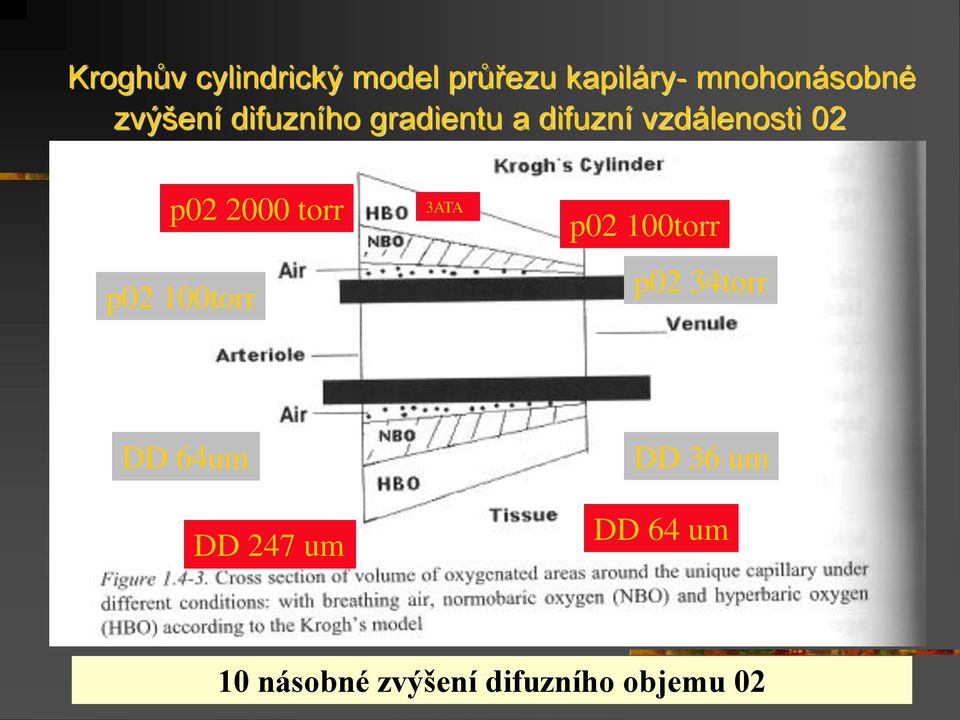 2000 torr p02 100torr 3ATA p02 100torr p02 34torr DD 64um