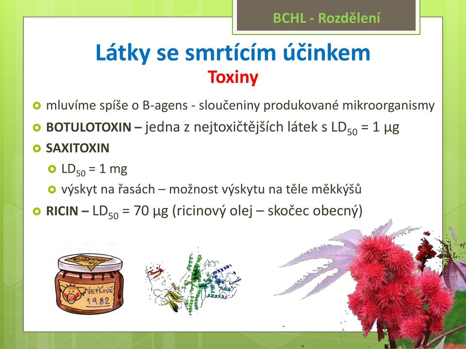 nejtoxičtějších látek s LD 50 = 1 µg SAXITOXIN LD 50 = 1 mg výskyt na