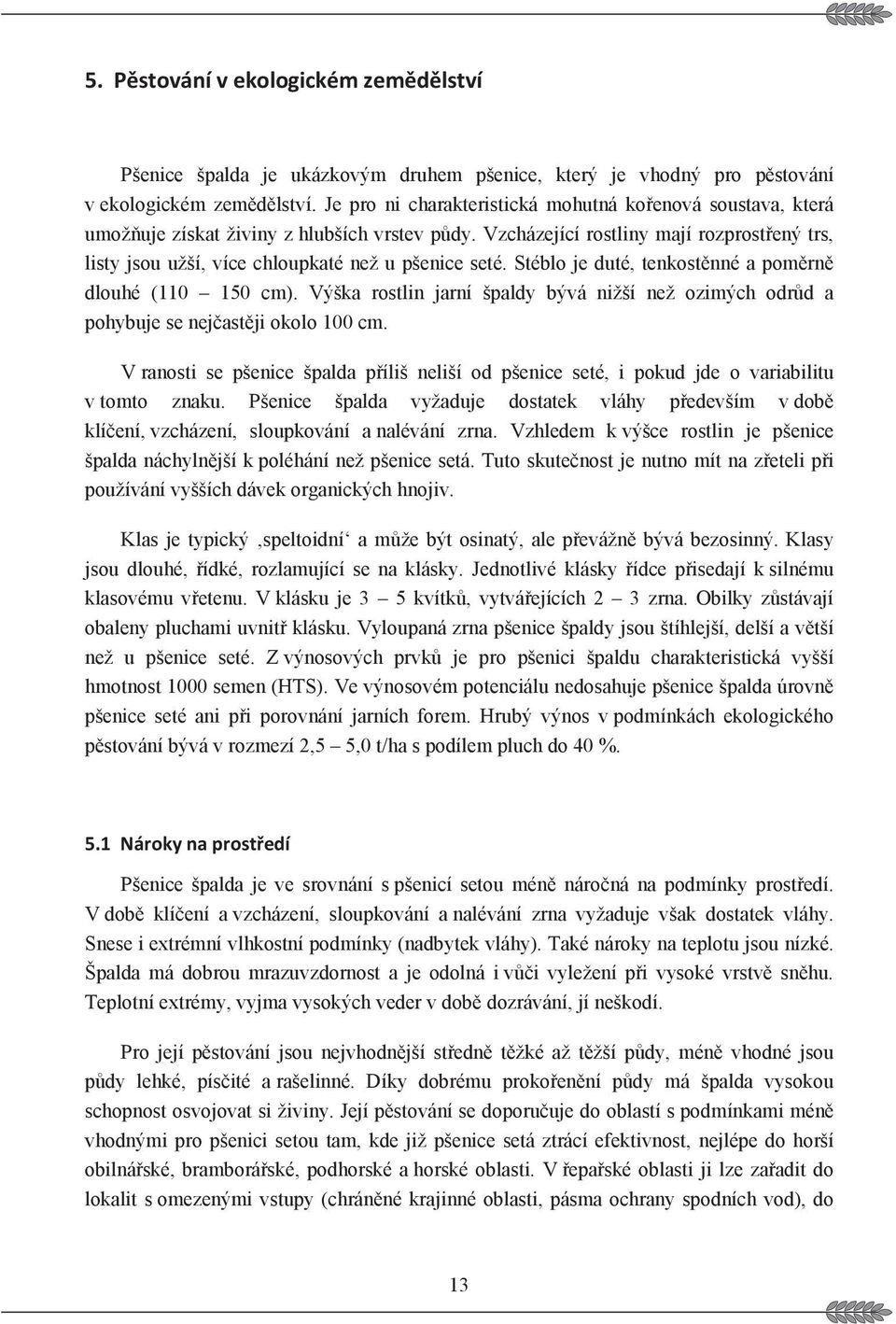 Stéblo je duté, tenkostnné a pomrn dlouhé (110 150 cm). Výška rostlin jarní špaldy bývá nižší než ozimých odrd a pohybuje se nejastji okolo 100 cm.