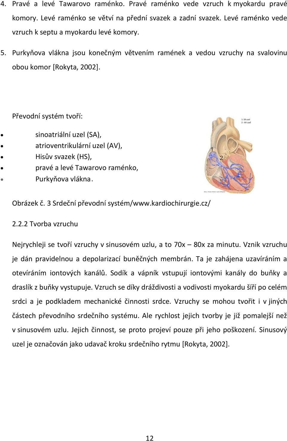 Převodní systém tvoří: sinoatriální uzel (SA), atrioventrikulární uzel (AV), Hisův svazek (HS), pravé a levé Tawarovo raménko, Purkyňova vlákna. Obrázek č. 3 Srdeční převodní systém/www.