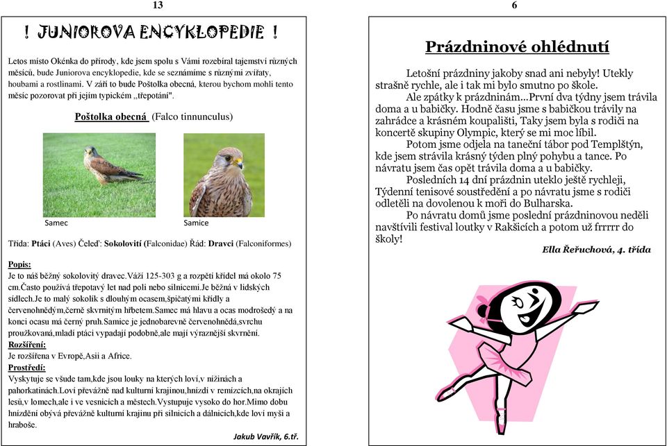 V září to bude Poštolka obecná, kterou bychom mohli tento měsíc pozorovat při jejím typickém,,třepotání".